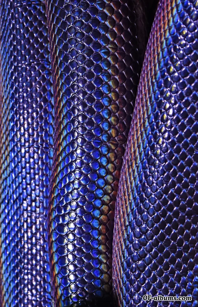 Image #2 of shayyybeee