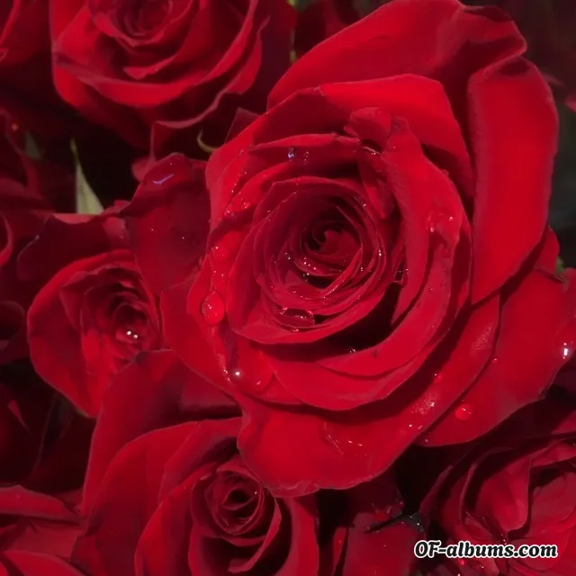 Image #4 of shesatlantis