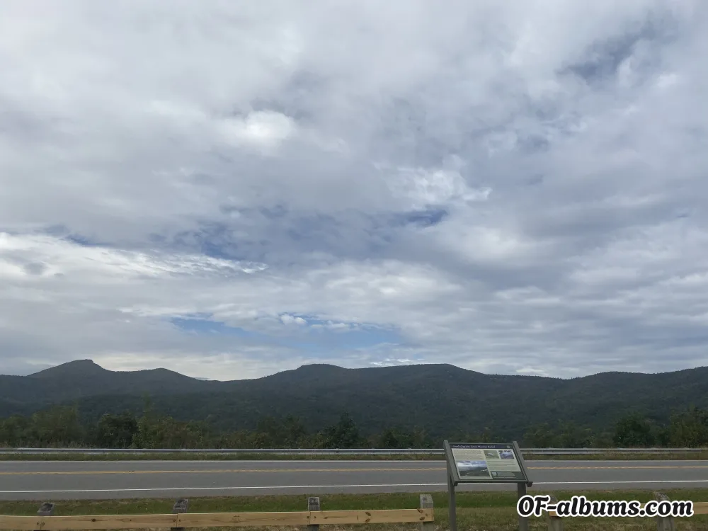 Image #2 of shizzy__