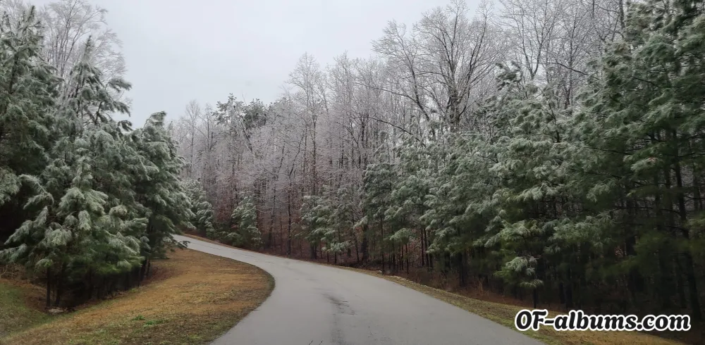 Image #2 of shortpretty