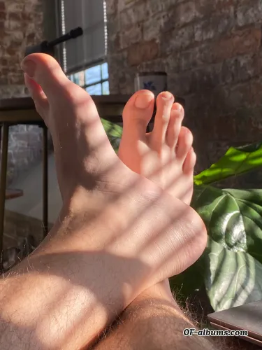 Image #3 of sillywank