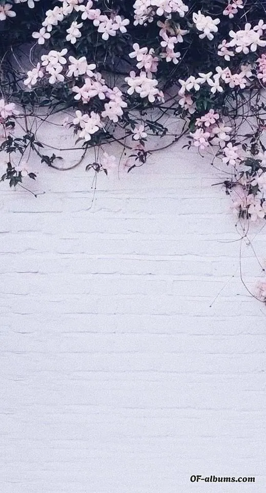 Image #2 of simplyyaddiee_free