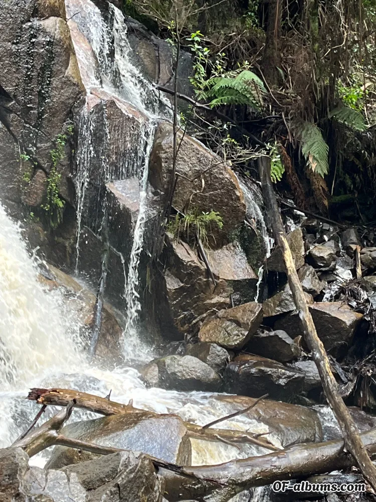 Image #1 of sjayde1.0