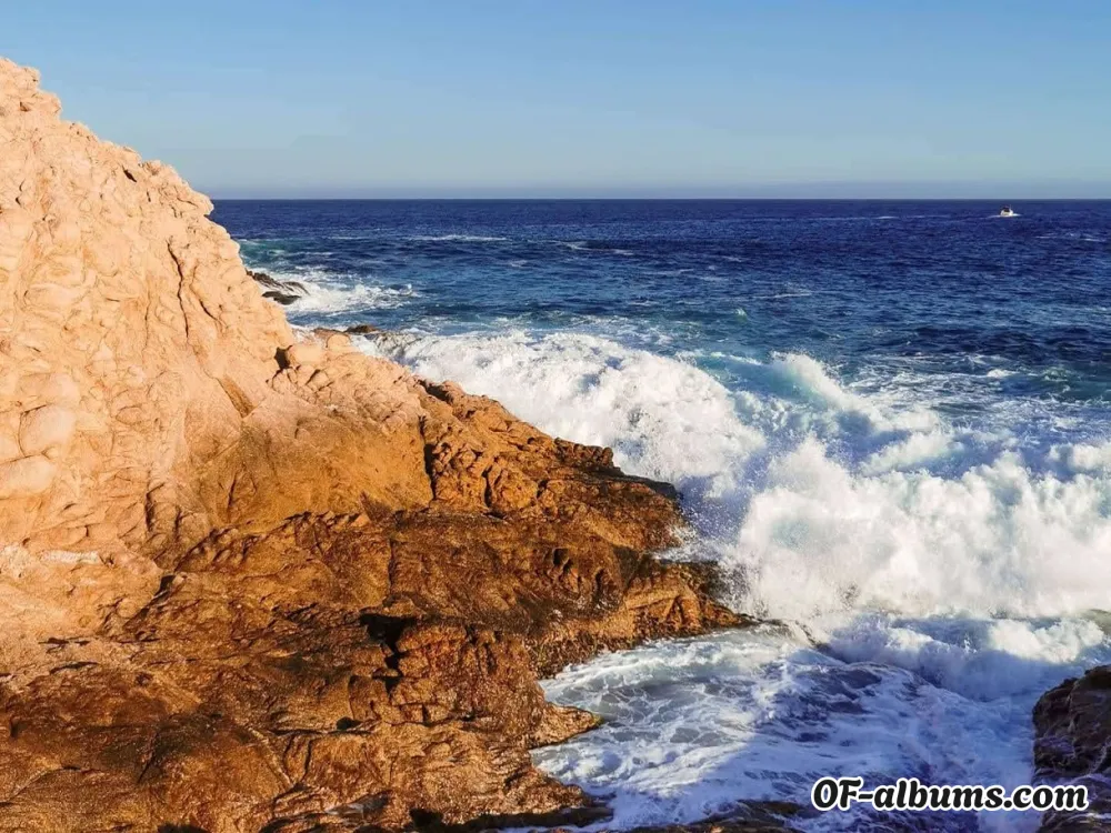 Image #2 of skinnyred