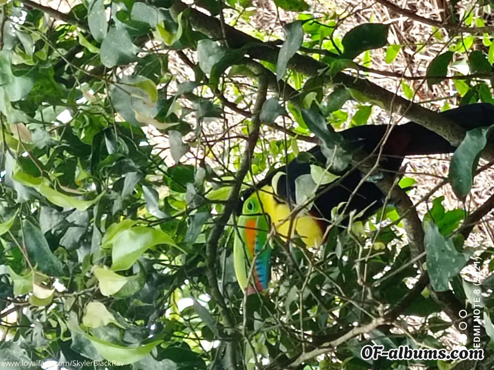 Image #2 of skylerblackrav