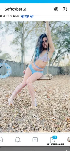 Image #3 of softcyber