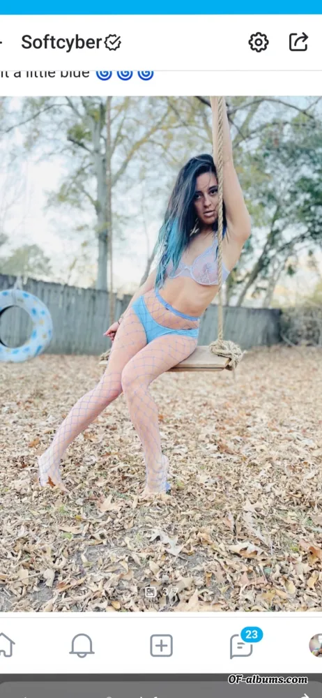 Image #1 of softcyber