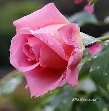 Image #3 of sososo