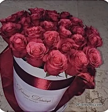 Image #2 of soukaina