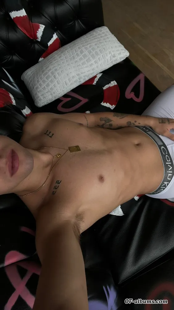 Image #1 of soystivex