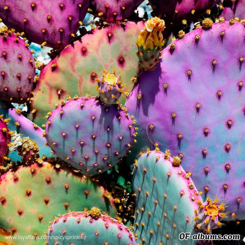 Image #2 of spicysprinklez