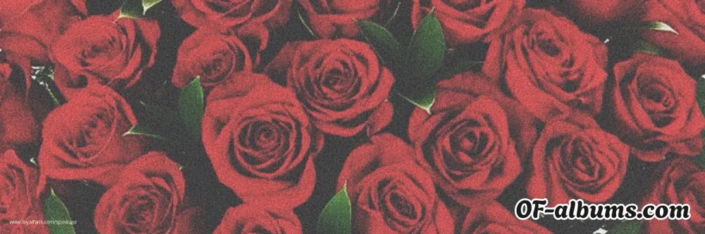 Image #2 of spoilcass