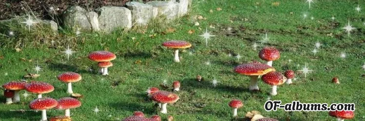 Image #2 of spoilgaia