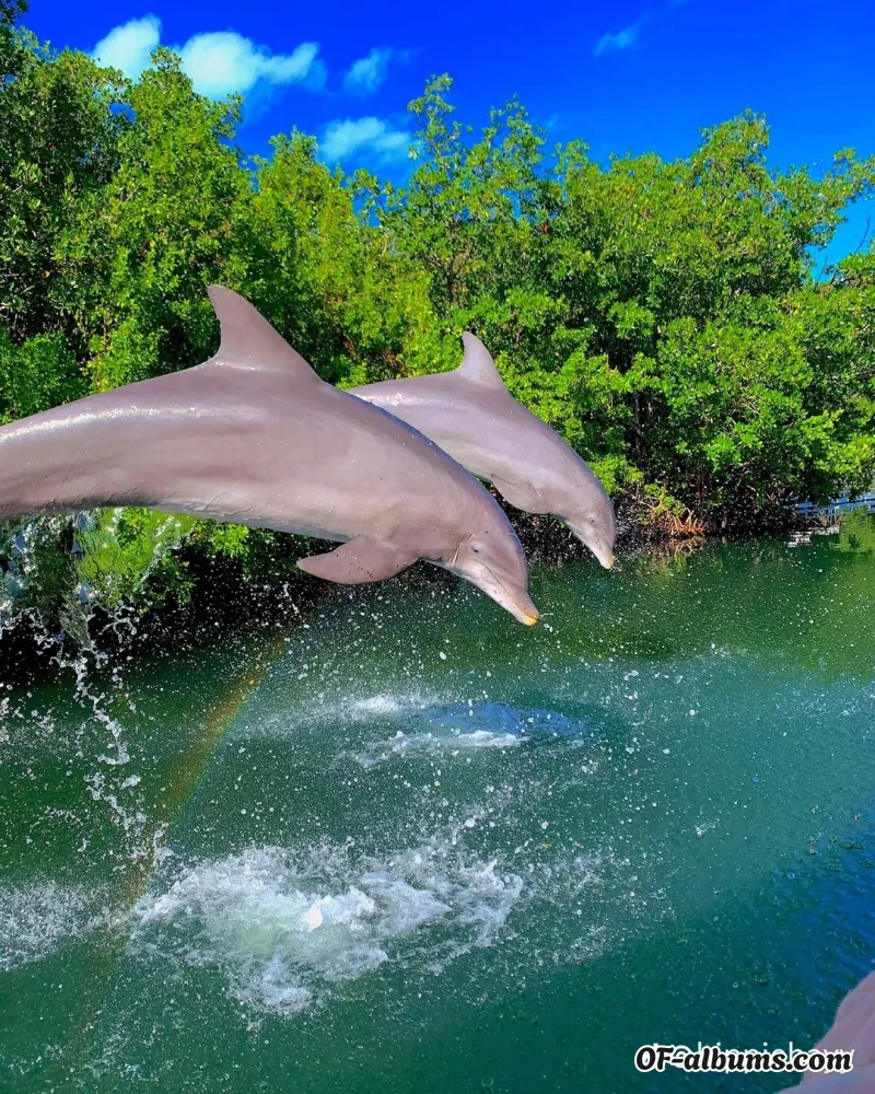 Image #2 of spunkymia