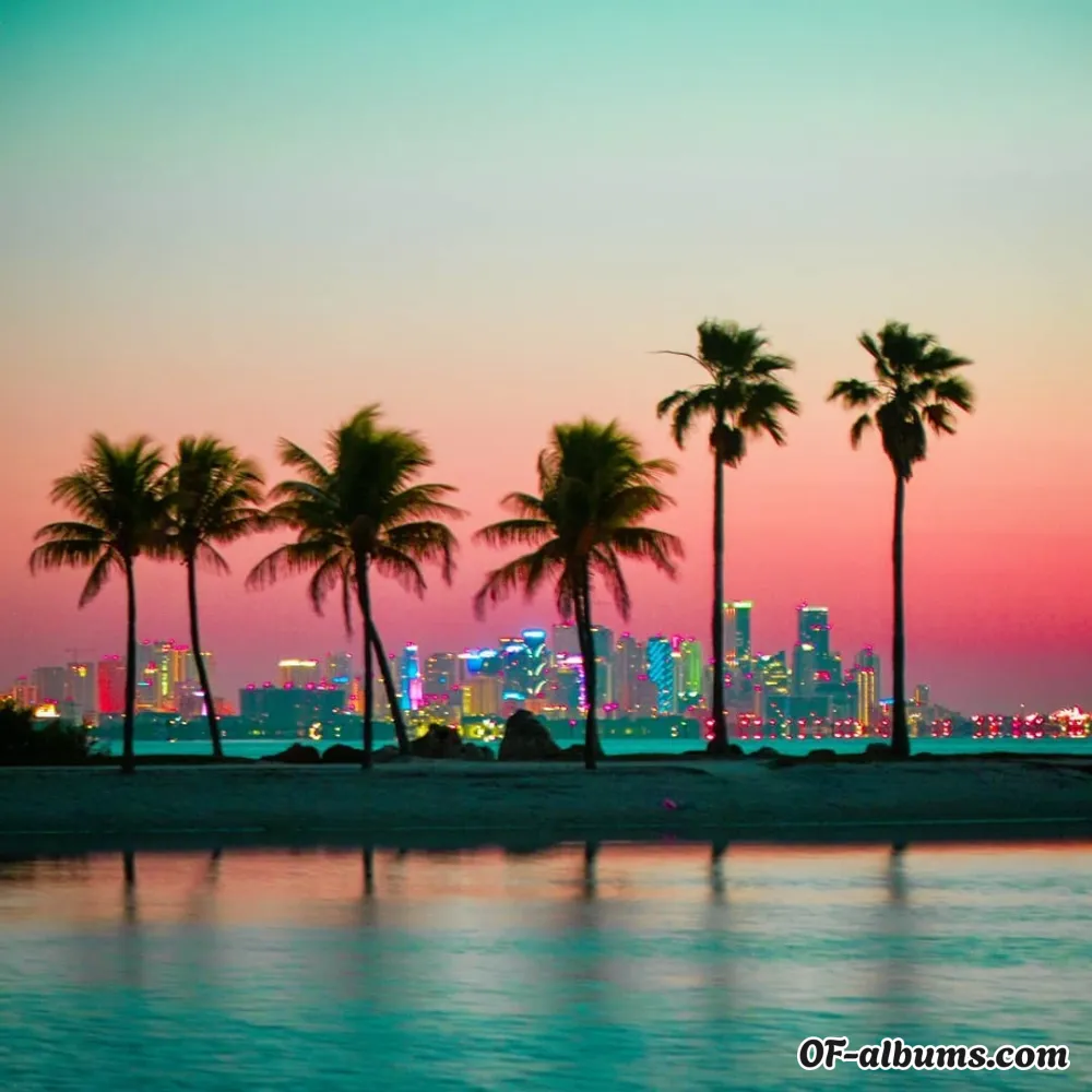 Image #5 of steftaughtyou