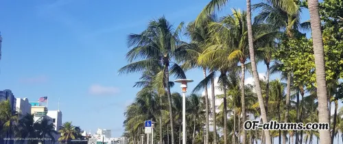 Image #3 of steftaughtyou