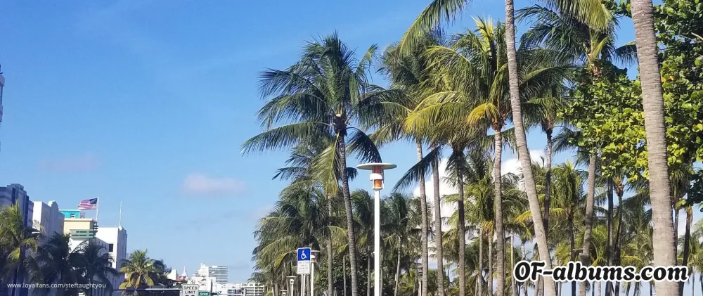 Image #2 of steftaughtyou