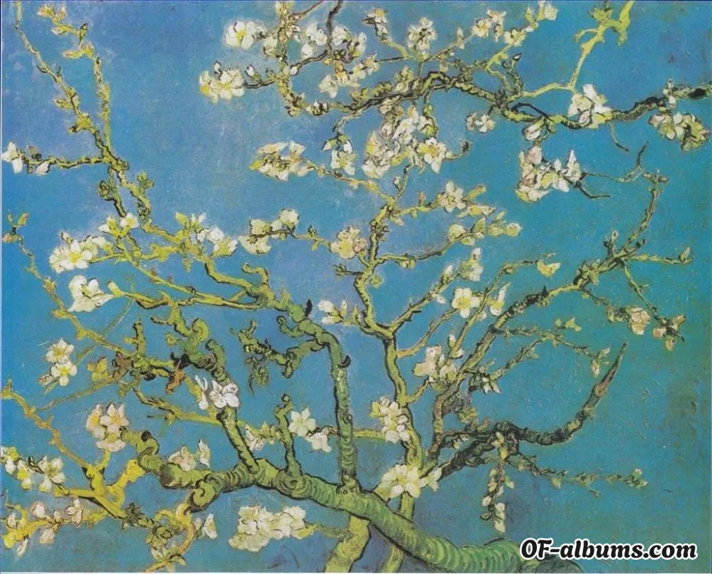 Image #2 of stonell_eden