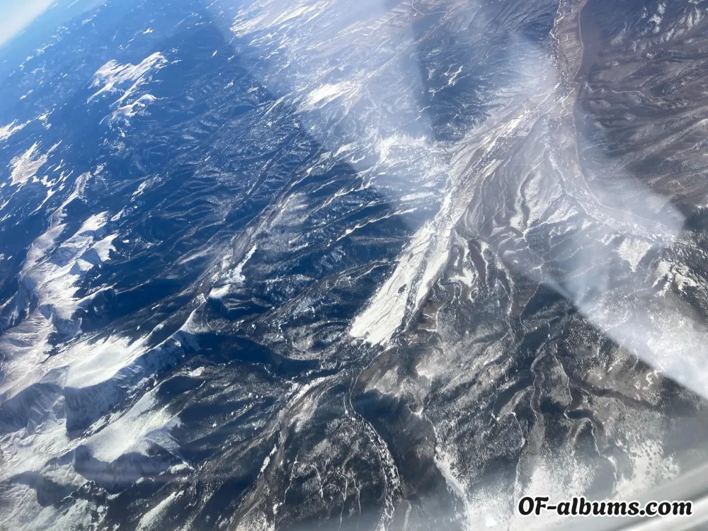 Image #2 of sugar504