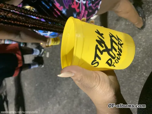 Image #5 of sunvirgorising