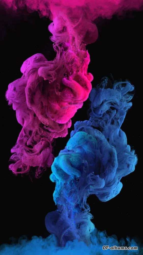 Image #4 of suunsii