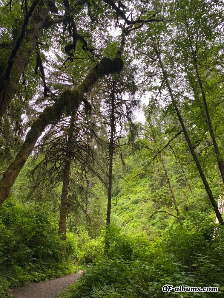 Image #2 of sweet.siren420