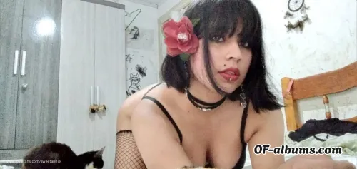 Image #3 of sweetannie