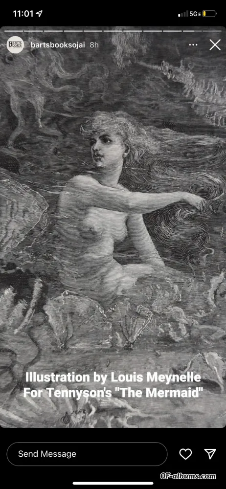 Image #1 of sweetleaff