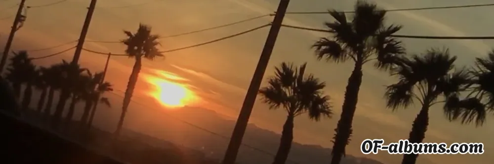 Image #2 of sylusscar