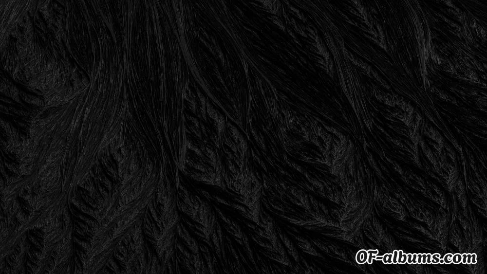 Image #2 of the_naked_director