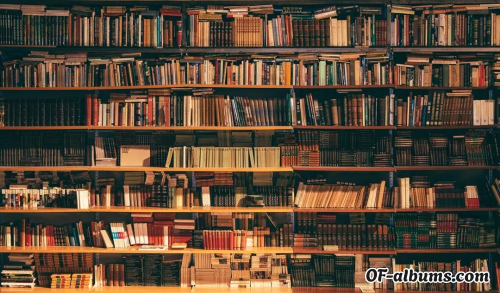 Image #2 of the_naughty_librarian