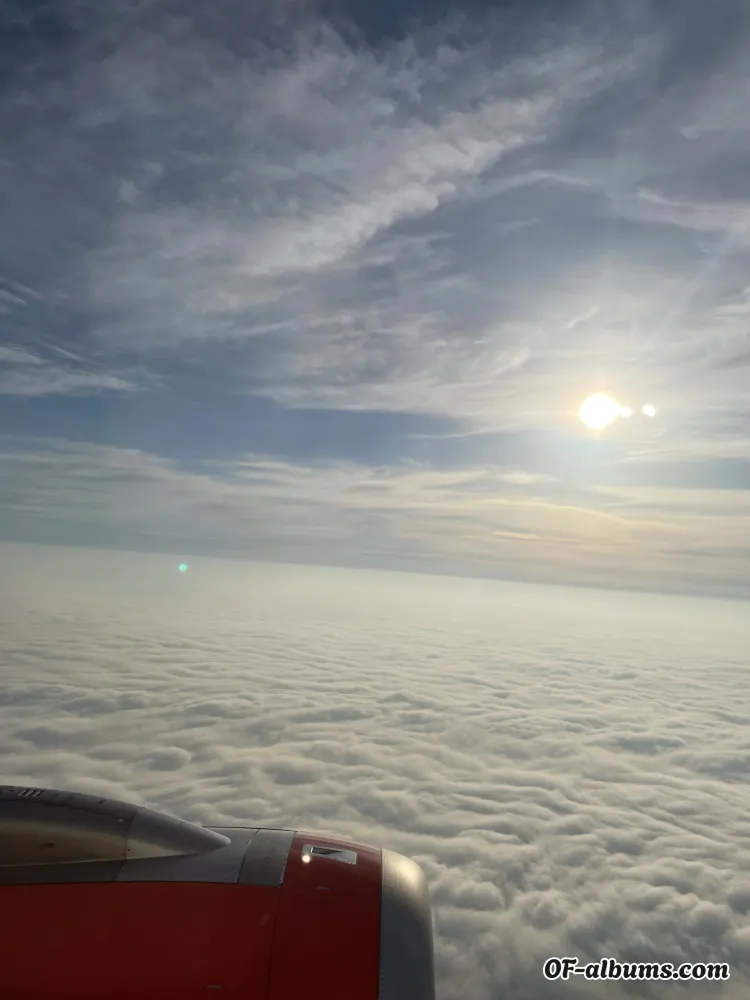 Image #2 of thealicious