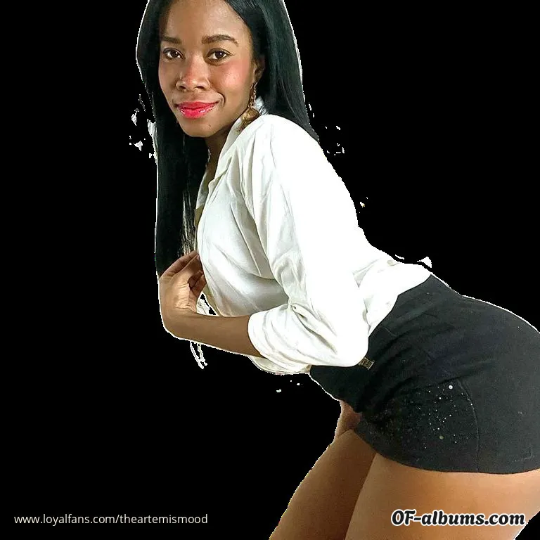 Image #1 of theartemismood