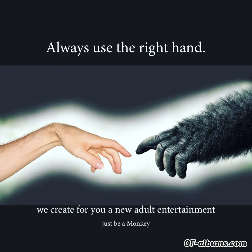 Image #2 of thebenefitmonkey