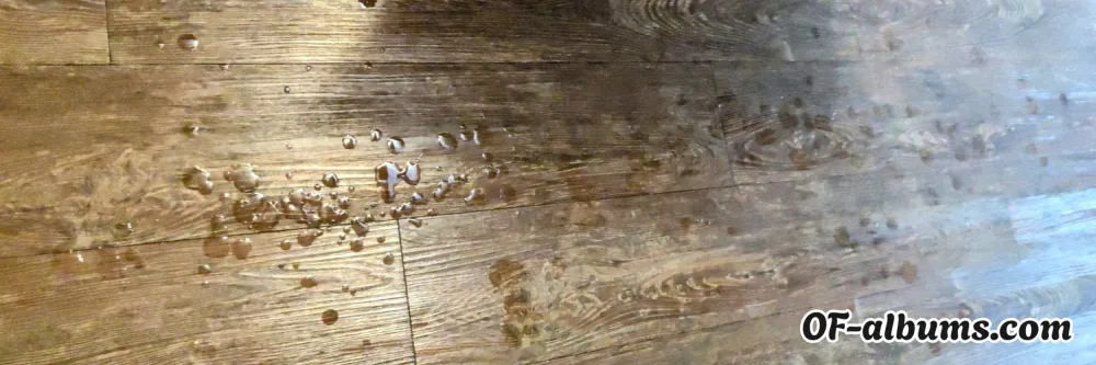 Image #2 of thecasanovaguy