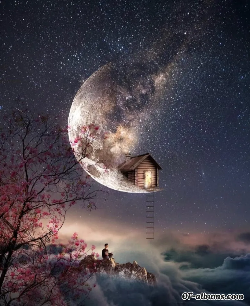 Image #2 of thedreamshop