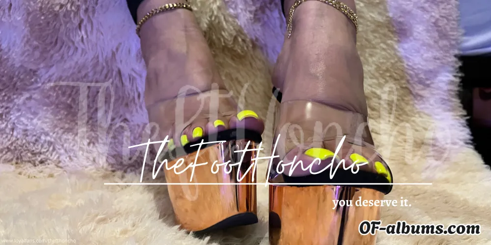 Image #5 of thefthoncho