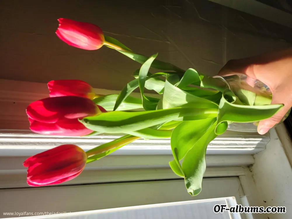 Image #2 of thejadasilkshow