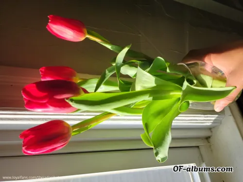 Image #3 of thejadasilkshow