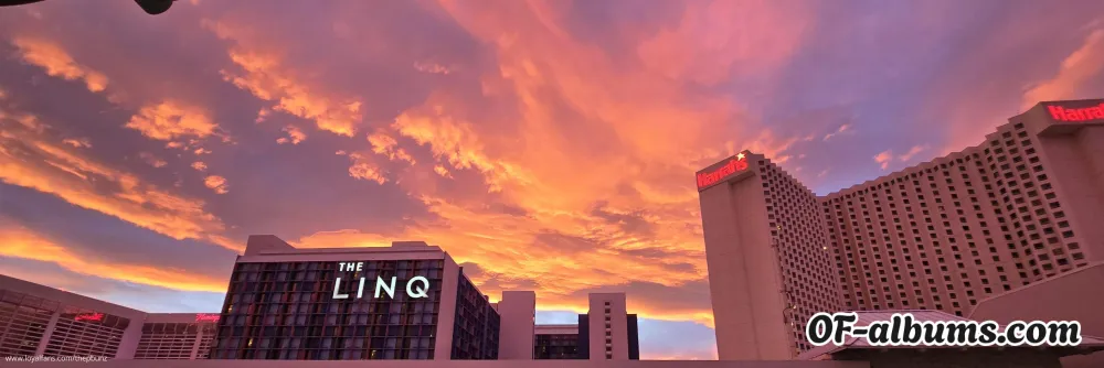 Image #9 of thepbunz