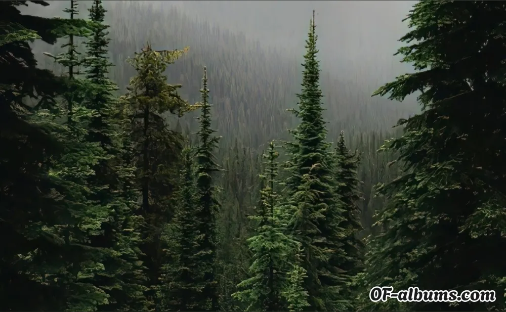 Image #2 of thewildeway