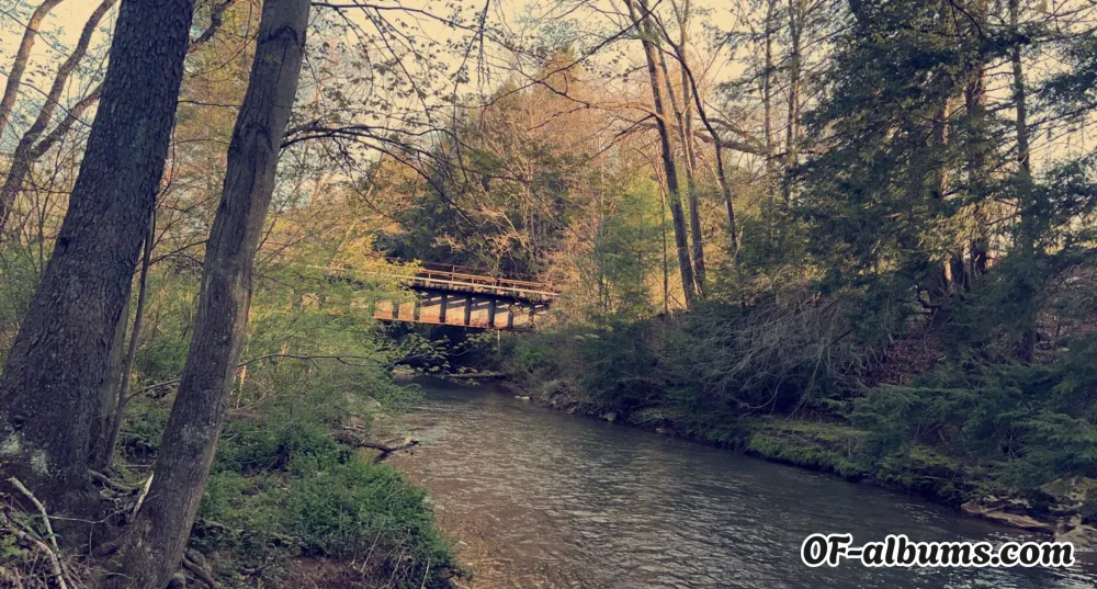 Image #2 of thickthighs222