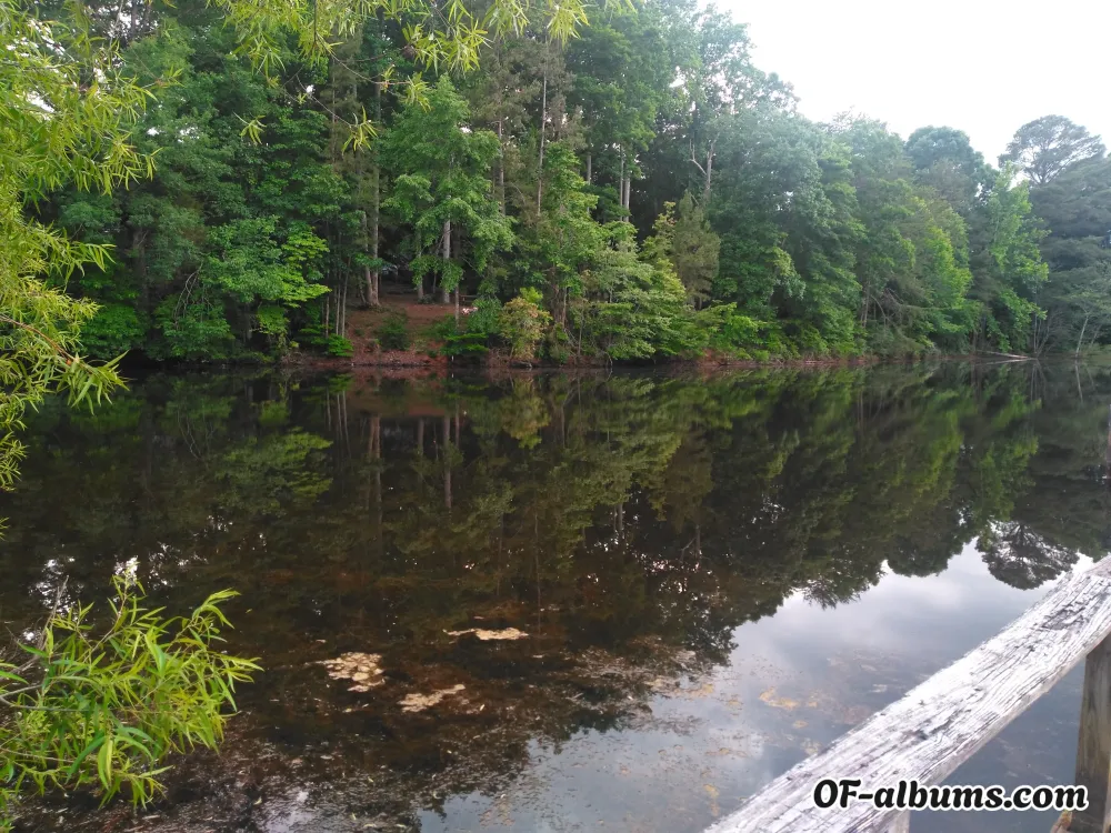 Image #2 of thisisme42069