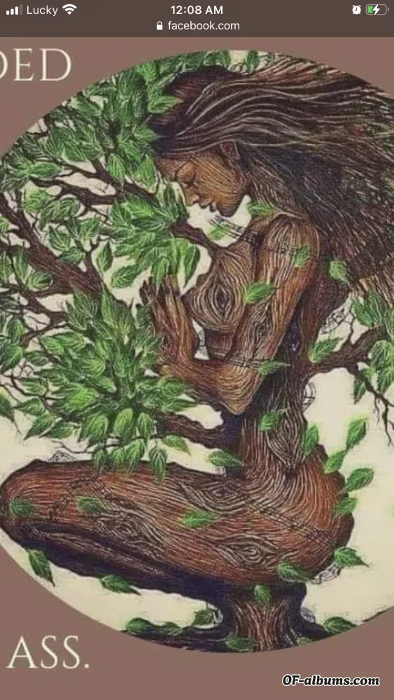 Image #2 of tiff2022