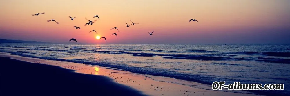 Image #2 of tingtingms