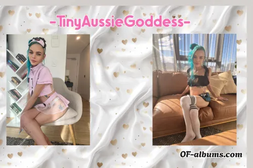 Image #3 of tinyaussie