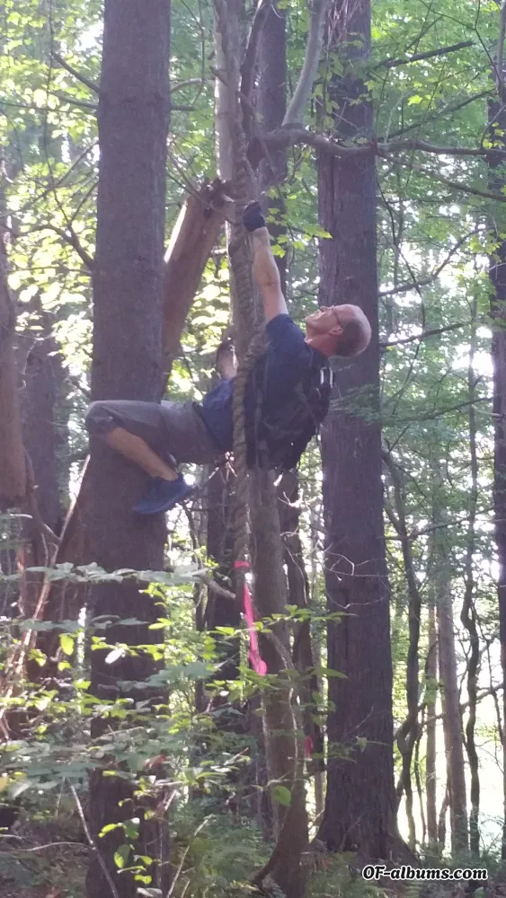 Image #2 of tomhersey