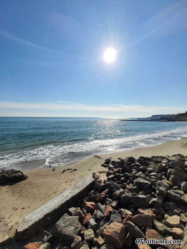 Image #2 of tonymolyxxx