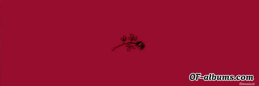 Image #2 of transboymatt