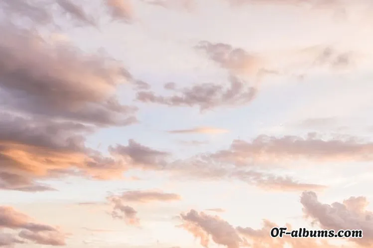 Image #2 of traykomalinov